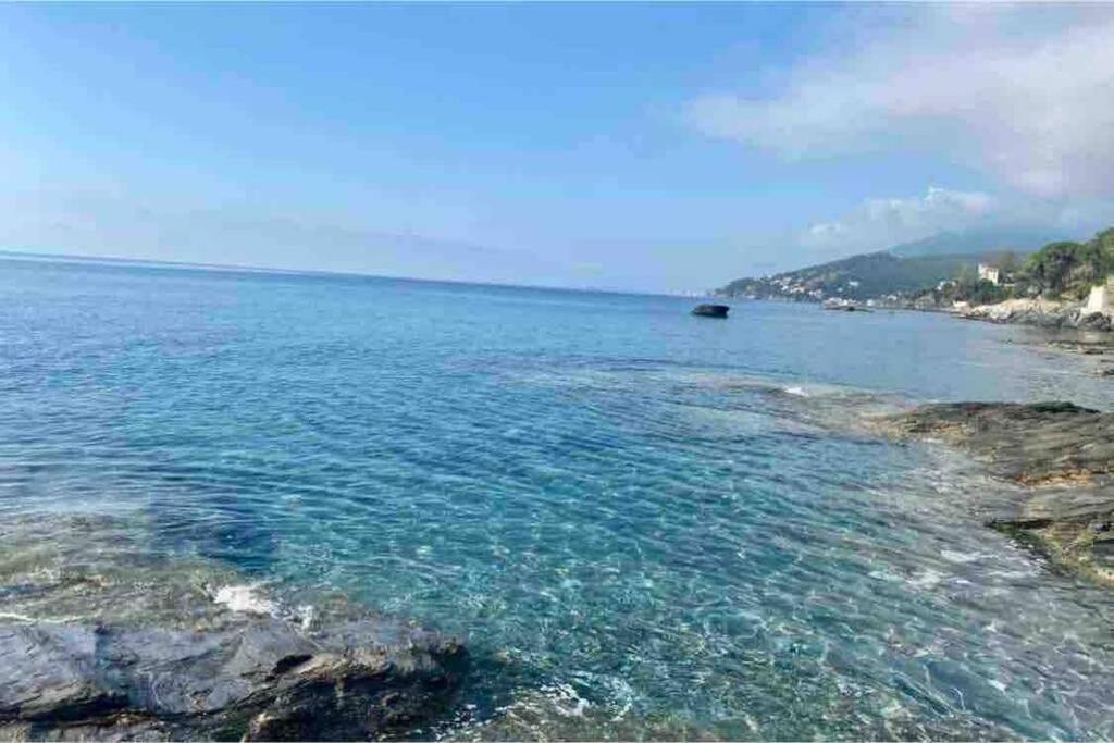 Appartement Vue Mer Avec Parking Gratuit Sur Place Bastia  Eksteriør billede